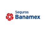 banamxseg rz2